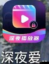 夜里十大禁用 APP 软件安卓：探寻其背后的奥秘