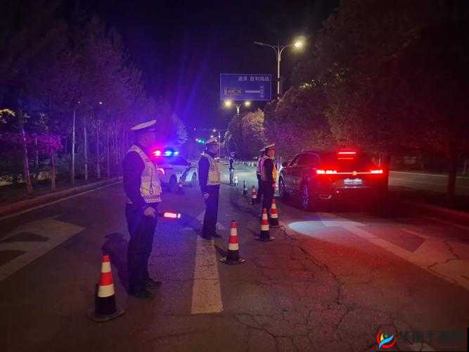 交警用小 XUE 查酒驾 H：守护道路交通安全的重要行动