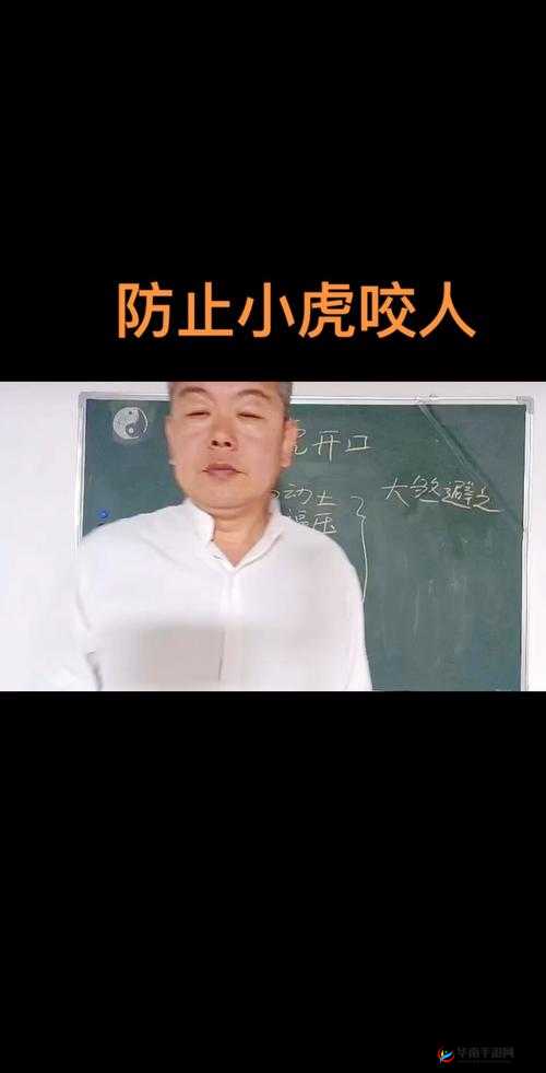 白虎日常消遣地点及其在资源管理中重要性及高效利用策略探究