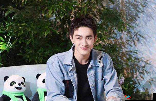 男 Gay 做受 XXXⅩ 小鲜肉：华语影坛的璀璨新星