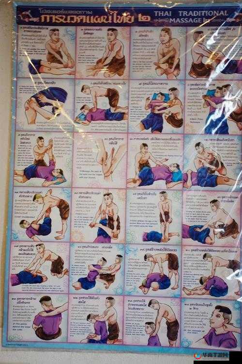 男女生上下拱 120 秒：探索两性互动的奇妙之处