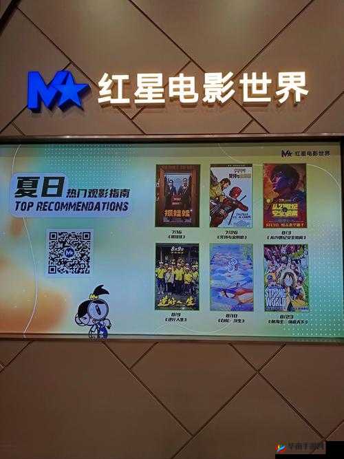 神秘电影 5 条 Vip 路径-带你开启奇幻观影之旅