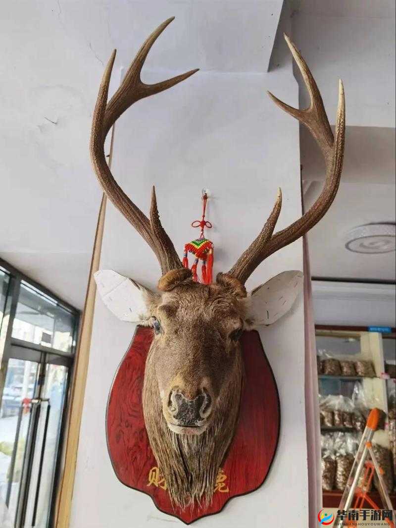 头上戴麋鹿角色在资源管理中的重要性及其高效利用策略探讨