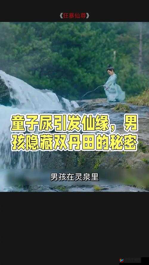 我的侠客游戏中童子尿获取攻略，详细流程及注意事项一览