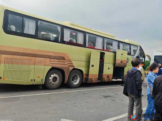 孟若羽TM00080大巴车：独特设计与舒适之旅的完美结合