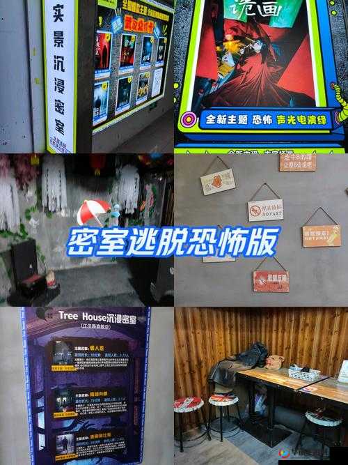 密室逃脱8酒店惊魂第三天，全面解析保险箱开启技巧与重要解密注意事项