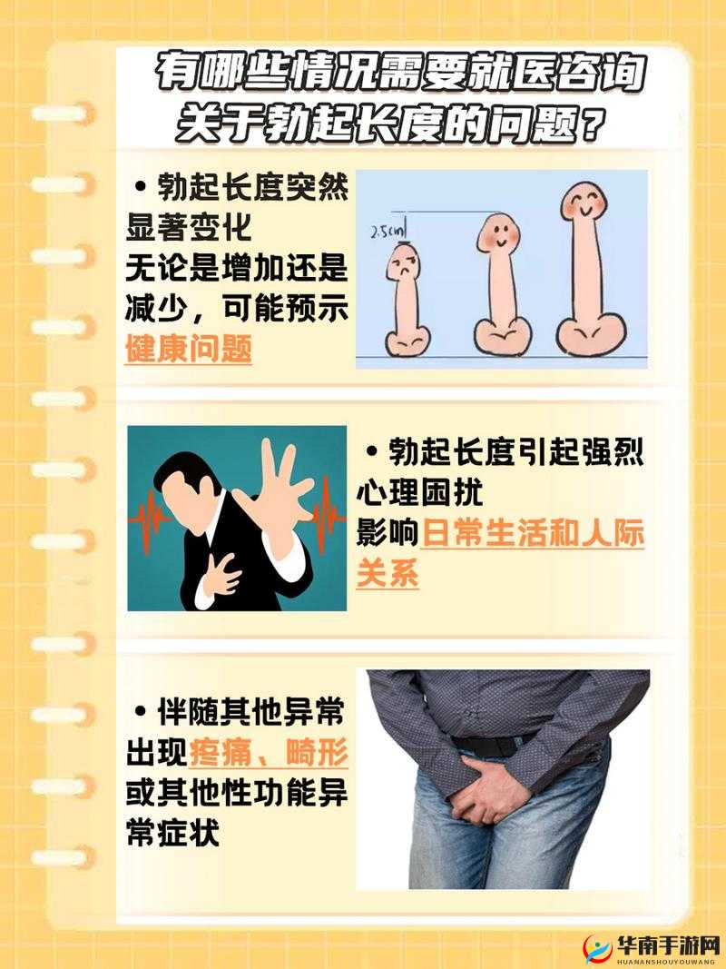 男生立起来究竟需要多久：关于生理现象的探讨