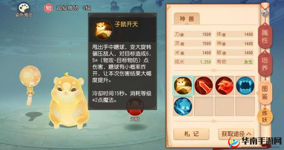 2025年梦幻西游三维版攻略，解锁宠物技能秘籍，助你打造7技能蛇年神宠