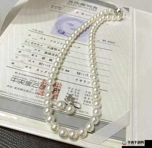 日本三色金项链图片大全：璀璨夺目的时尚之选