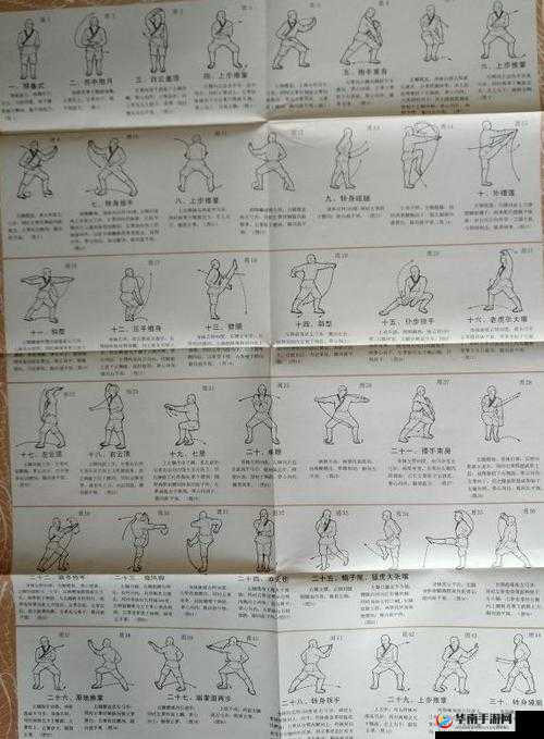 新笑傲江湖深度剖析少林武学精髓，连招技巧与实战应用大揭秘