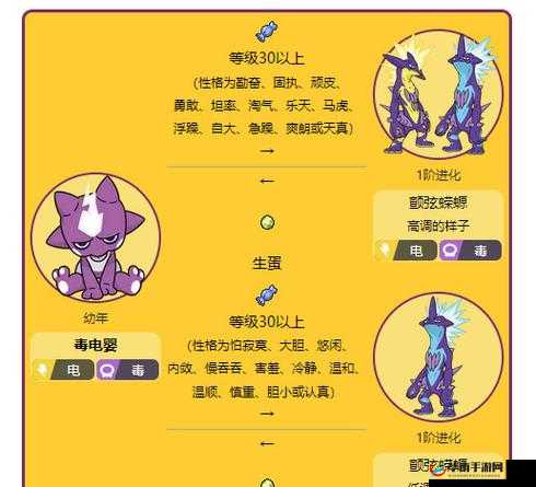 宝可梦剑盾全面攻略，探索毒电婴捕捉位置及其进化形态选择指南