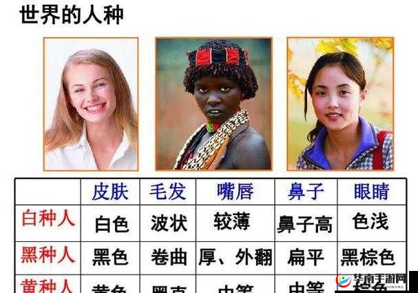 日本人与欧洲人的相貌特征差异：从五官到肤色的全面剖析