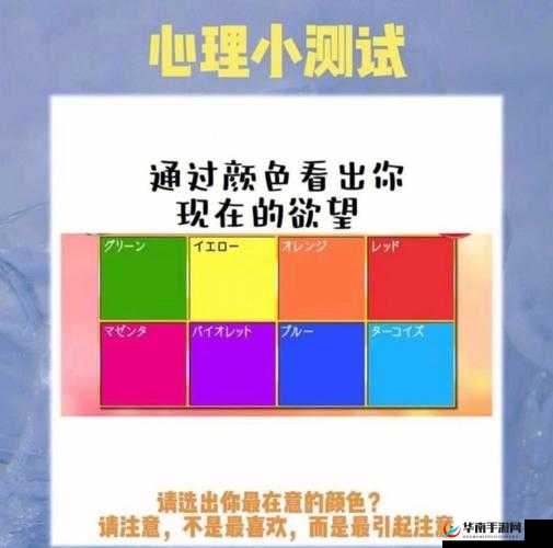 在都市色网的世界里，探寻欲望的色彩