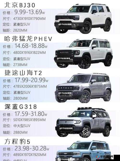 国产 SUV 精品 201：打造你的专属驾驶乐趣
