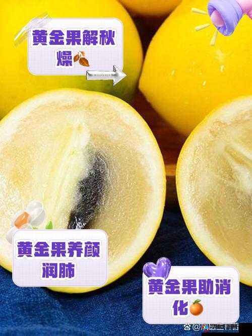 全面揭秘，我的起源游戏中黄金果实的高效获取策略与秘籍