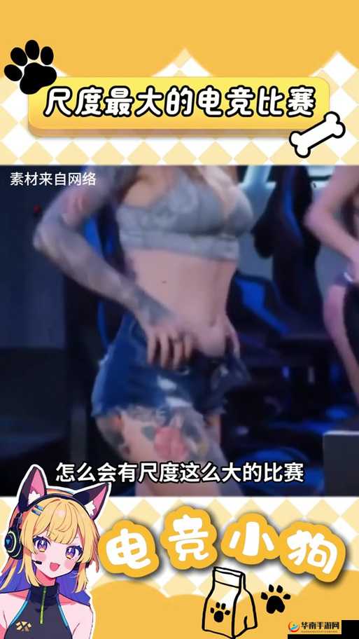 俄罗斯女 csgo：展现非凡电竞魅力的巾帼风采