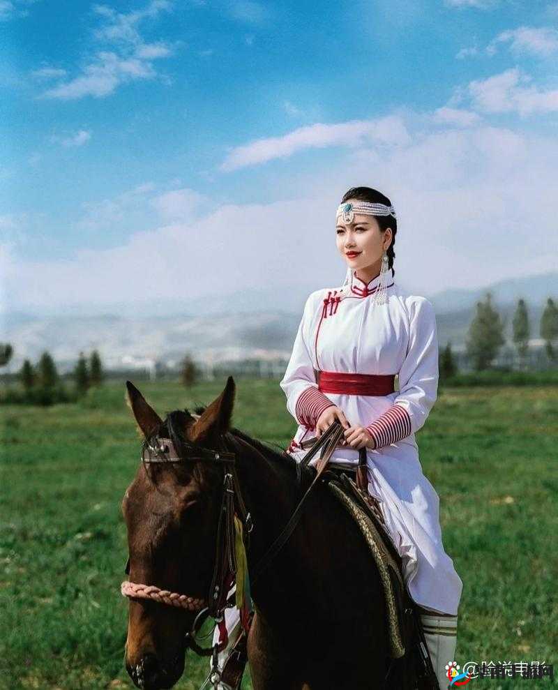 女骑手与她的爱马：在草原上的飞驰人生