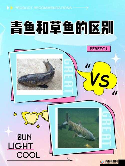 探索花与剑游戏中青鱼获得途径的重要性及高效管理策略