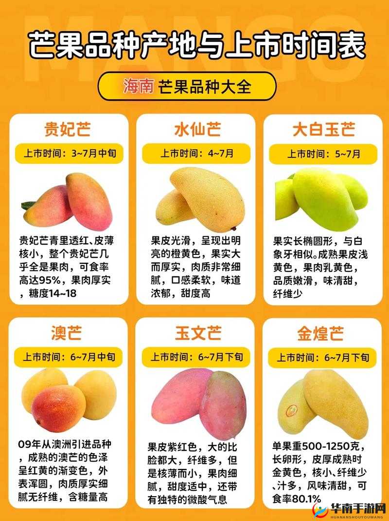 国产四线区芒果的独特魅力与优质口感
