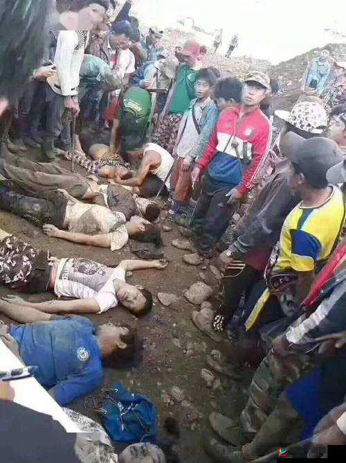 缅甸北部血腥网站2024黑网：一个充满危险与罪恶的非法之地