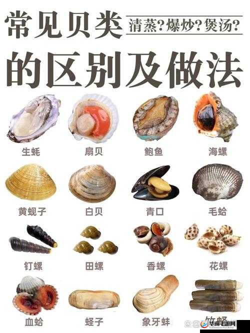 全面解析我的起源游戏中贝壳的多种获得途径与方法