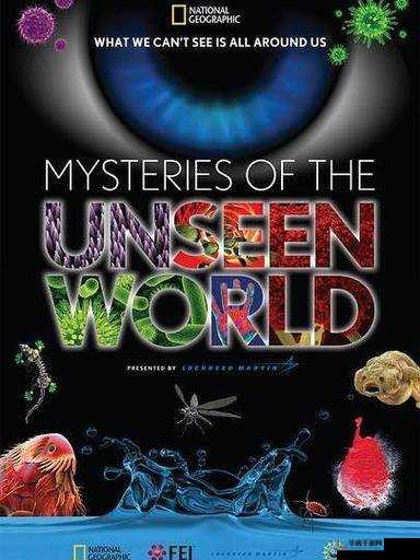 404 黄台下载大全：探索未知的神秘世界