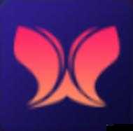 软件免费下载 3.0.3vivo 免费版：畅享便捷下载体验