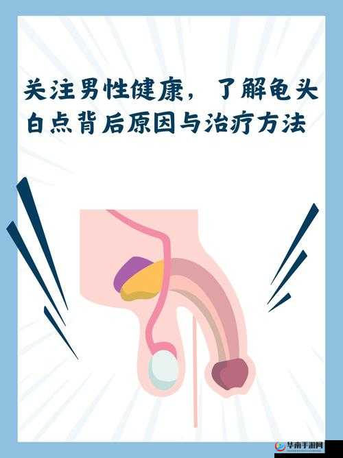 男士龟的头边上有一圈白色是什么：可能原因及应对方法探讨