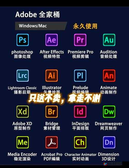 成品视频软件推荐：究竟哪个更胜一筹呢