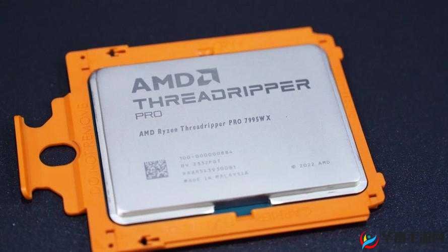 7995wx 鲁大师精彩视频：带你领略非凡视觉盛宴