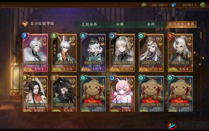 神都夜行录礼包四选一攻略，全面解析助你选出性价比最高的礼包