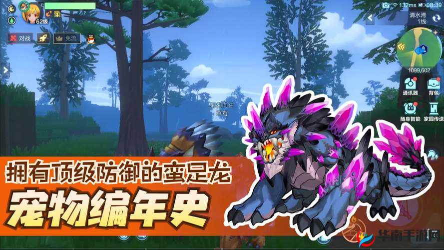 探索我的生肖起源与当前时间关联，揭秘秘结晶在蛇年春节的获取之道