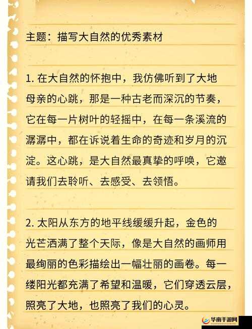 深度解读关键词，探索自然奥秘，一场别开生面的生态之旅