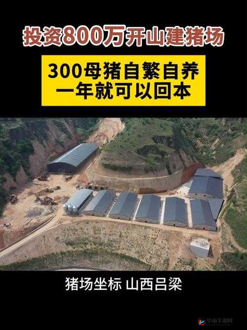 我的起源游戏攻略，高效提升养殖场运作速度，加速养殖进程技巧