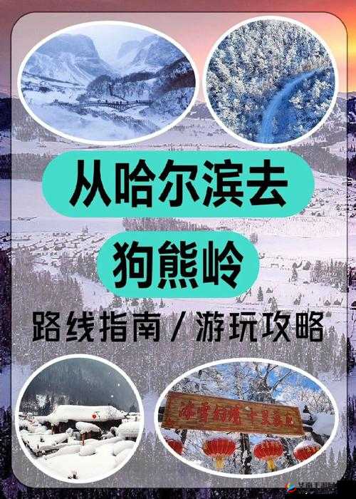 东北大坑乱 1—50：揭秘神秘的东北乡村传奇故事