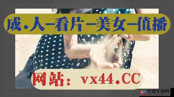 1000 拍拍拍网站视频：探索未知的私密世界