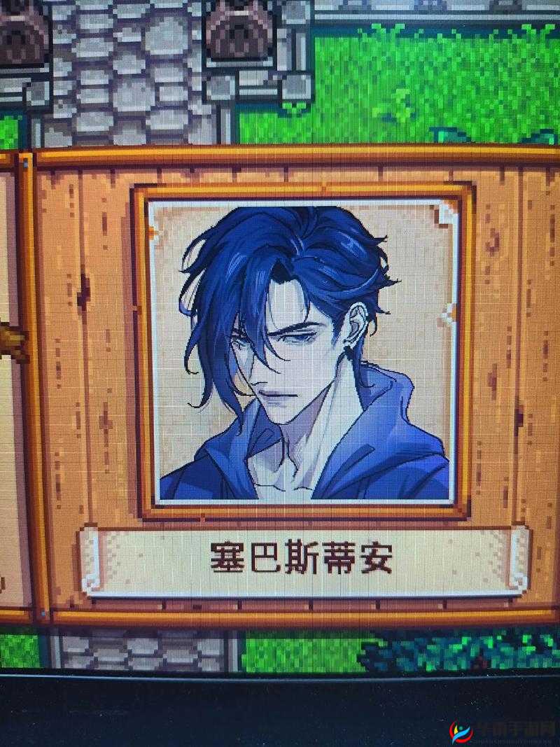 星露谷物语塞巴斯蒂安，忧郁宅男NPC性格特点及背景故事深度解析