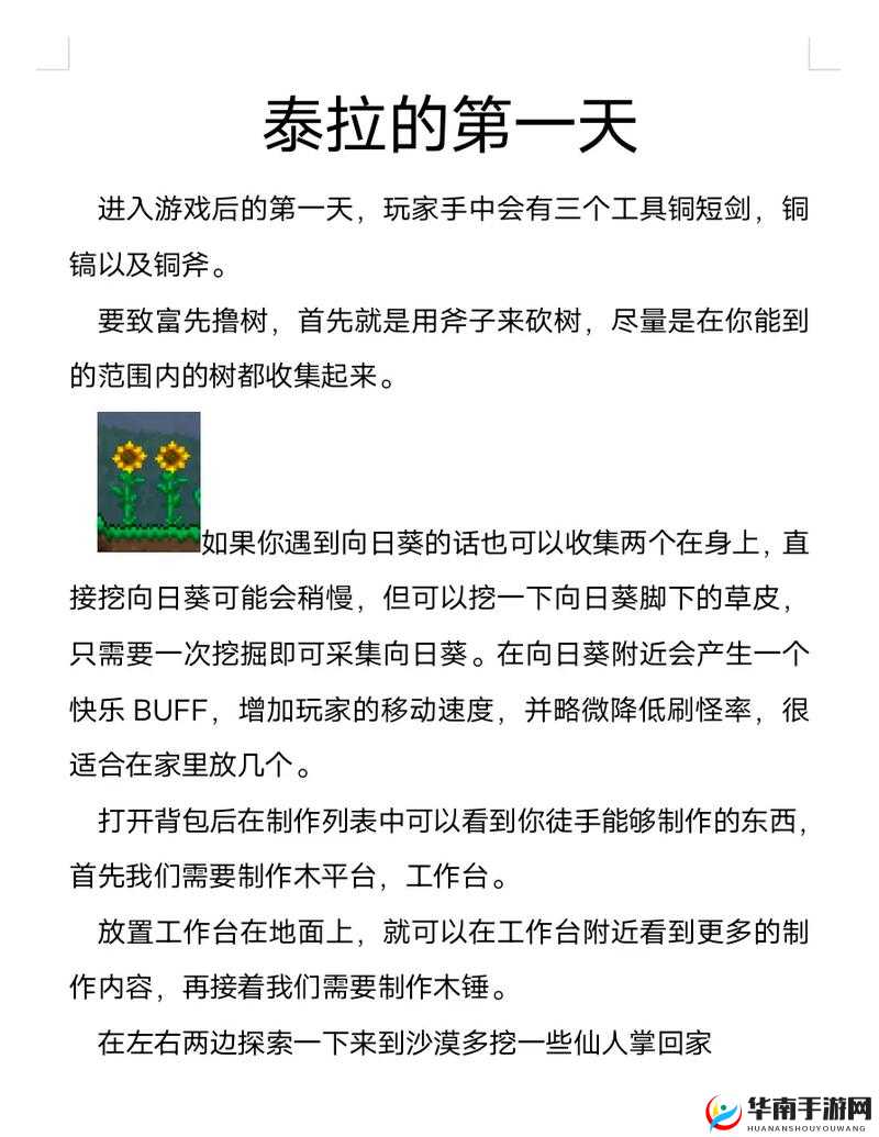 泰拉瑞亚前期发育全面指南，助你开启从零到英雄的冒险之旅