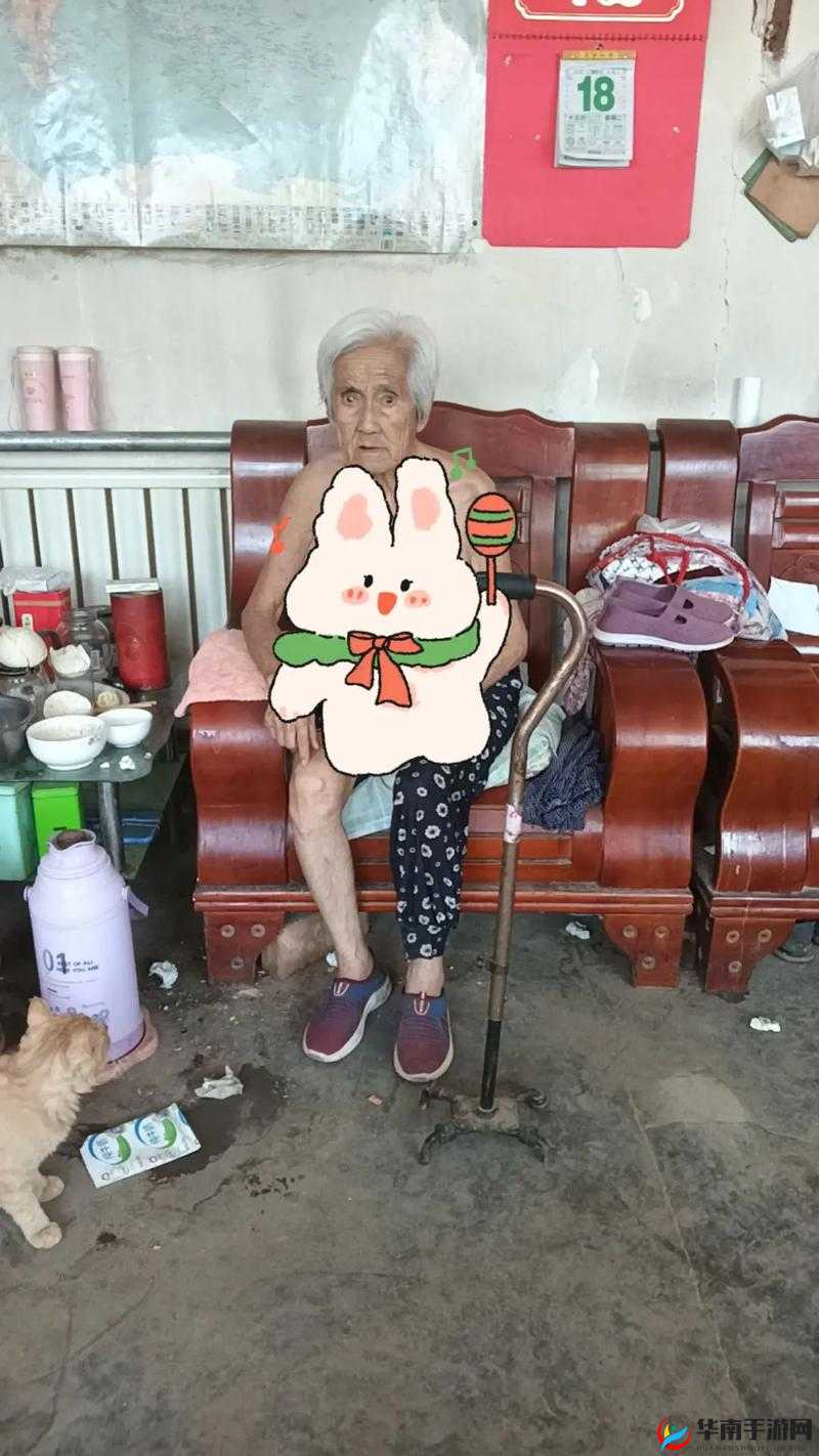 东北老太老头国产完整性ⅩXX：探索老年人的性健康与幸福