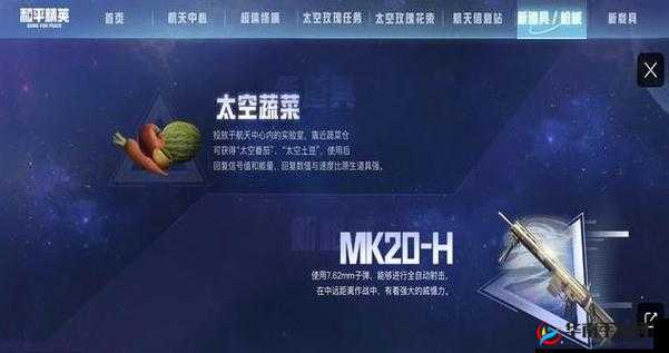 和平精英，揭秘太空蔬果奥秘与全面探索太空之旅玩法深度分析