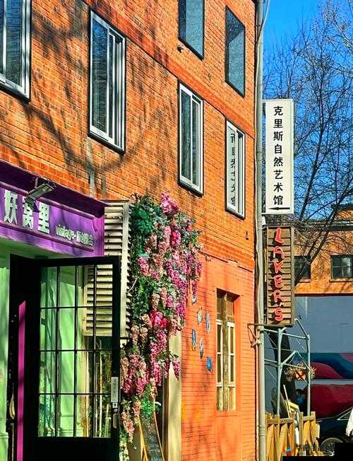 798 艺术区是私人还是国家的：探究其产权归属之谜