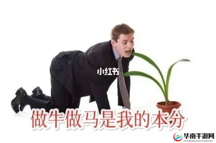 我所接的客人真的好厉害呀：展现非凡魅力与实力