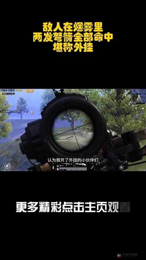 荒野行动高手进阶，揭秘瞄准精髓技巧，助你实现精准命中敌人梦想