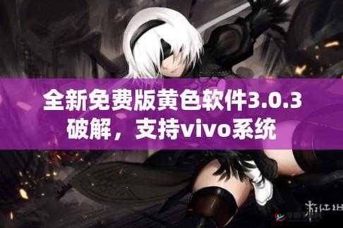 3.0.3 免费 vivo 版破解大全：畅享丰富资源福利