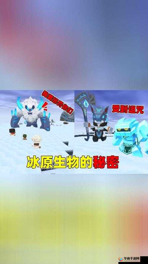 冰原守卫者全面攻略，快速升级技巧与萌新玩家成长必备指南