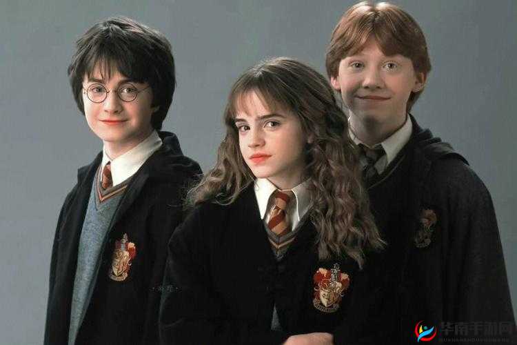 哈利波特三人组卡组搭配攻略，实现连胜的搭配方式与技巧