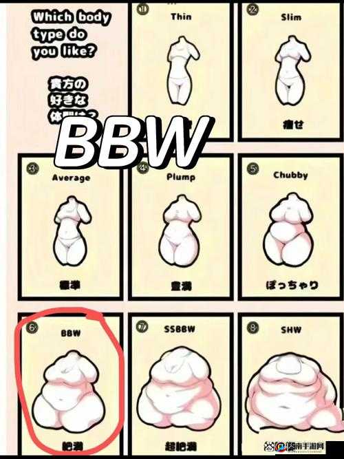 大BBW大BBW超大BBW：关于其体型特征与魅力的深入探讨