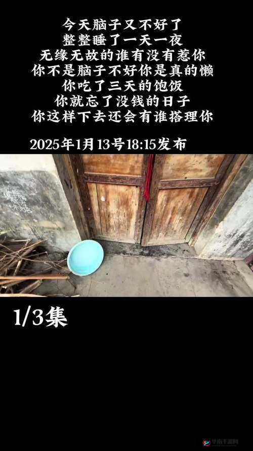 天天谢了天天擦了天天拍了：记录生活中的琐碎与坚持