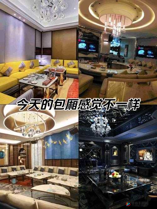 KTV 男鸭 18Gay1069 的别样故事与经历