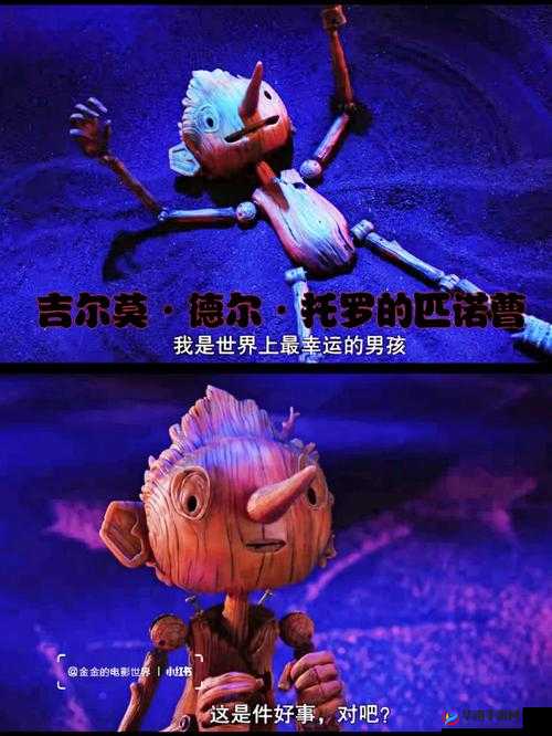 人马畜禽 CORPORATION 猪巴西的奇幻冒险之旅